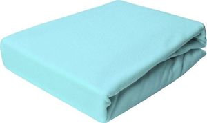 Łóżkoholicy Przescieradło Jersey z Gumką Hit nr 012 180x200 1