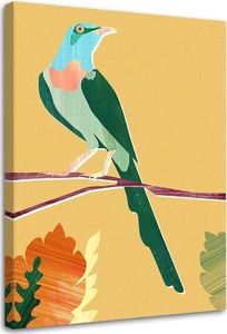 Feeby Obraz na płótnie – Canvas, Rajski ptak 40x60 1