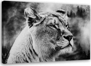 Feeby Obraz na płótnie – Canvas, Czarno - biała lwica 100x70 1