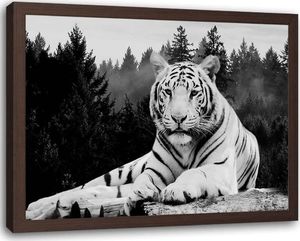 Feeby Obraz w ramie brązowej, Tygrys w lesie 70x50 1