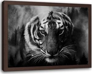 Feeby Obraz w ramie brązowej, Przyczajony tygrys 70x50 1