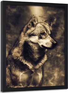 Feeby Obraz w ramie czarnej, Młody wilk 40x60 1