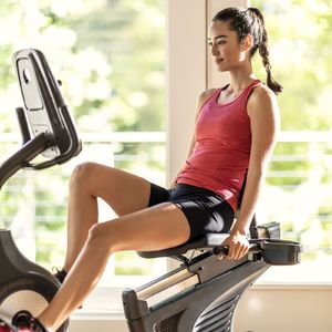 Rower stacjonarny Schwinn treningowy magnetyczny 570R 15