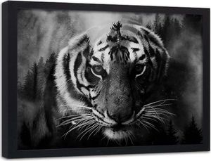 Feeby Obraz w ramie czarnej, Przyczajony tygrys 100x70 1