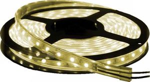 Taśma LED Import Taśma LED biała ciepła 5m 300 SMD 1