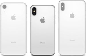 Ringke Ringke Fusion Matte etui pokrowiec z żelową ramką iPhone XS / iPhone X przezroczysty uniwersalny 8