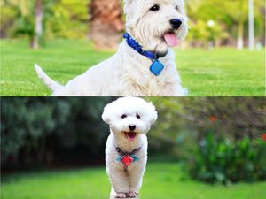 Acurel iTrack1 lokalizator kluczy Bluetooth GPS czarny uniwersalny 11