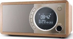 Radio Sharp DR-450 3