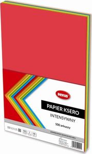 Beniamin Papier ksero A4 80g Mix kolorów intensywny 100 arkuszy 1