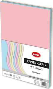 Beniamin Papier ksero A4 80g Mix kolorów pastelowy 100 arkuszy 1
