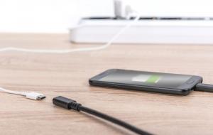Kabel USB Digitus USB-C - USB-C 2 m Czarny (AK-300210-020-S) 11
