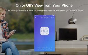 Sonoff Sonoff Smart Switch MINI 11