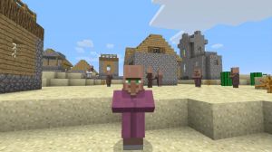 Minecraft PS3 3