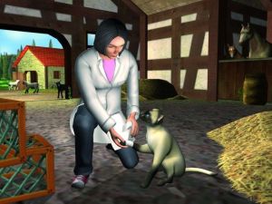 Mały Weterynarz PC 2