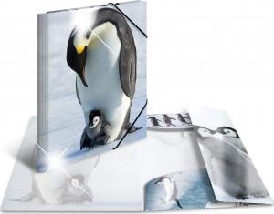Herma Teczka A4 Glossy Pinguin 1