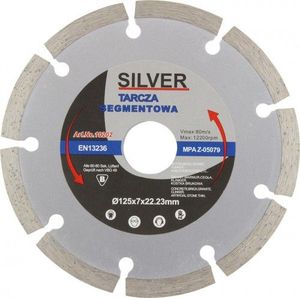 Silver TARCZA DIAMENTOWA SEGMENTOWA 125 x 22,2 x 7mm EX10202 1