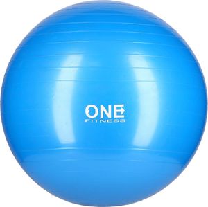 One Fitness Piłka do ćwiczeń Gym Ball 10 55cm blue 1