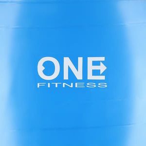 One Fitness Piłka do ćwiczeń Gym Ball 10 75cm blue 3