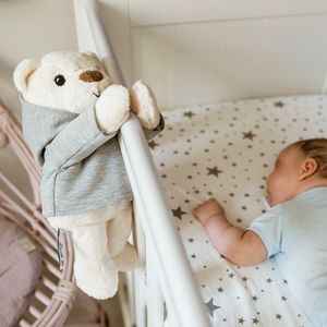 Whisbear Szumiący Miś Julek 2