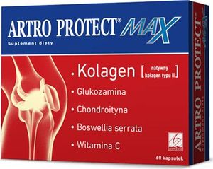 A-ZMedica Artro Protect MAX 60 kaps. 1