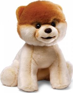 Gund Maskotka BOO Najsłodszy pies świata, 23 cm 1