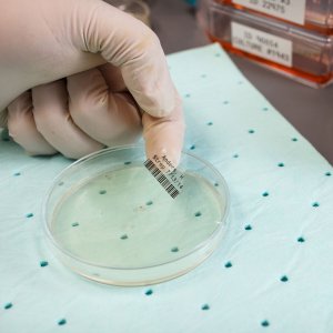 Brady Black on Clear 6,4m x 9,53mm 4