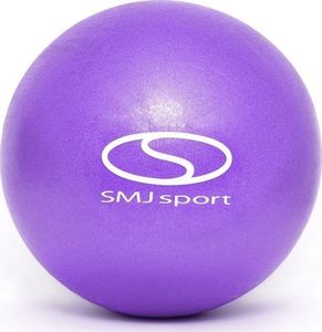 SMJ sport Piłka gimnastyczna gumowa PVC BL032 25 cm fioletowa uniwersalny 1