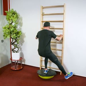 inSPORTline Trener równowagi z linkami do ćwiczeń Dome UNI Zielony 15