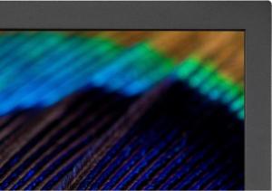 Monitor NEC MultiSync PA311D (60004941) 4