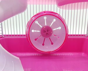 Panama Pet Klatka dla gryzoni do czasowego pobytu 27x20,5x25,5 cm biało/różowa 5