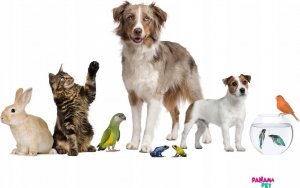 Panama Pet Panama Pet wisząca zabawka z kulką wiklinową z kolorowymi klockami i dzwonkiem 22 cm 2