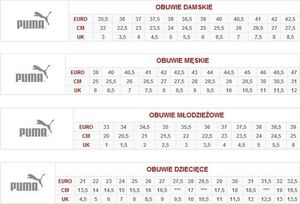 Japonki męskie Puma Epic Flip V2 czarne r. 40.5 (360248-03) 5