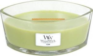 WoodWick Fern Elipsa świeca zapachowa 453,6g (76189E) 1