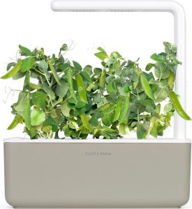 Click And Grow Click and Grow refill zielony groszek 3-pak 3