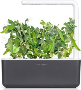 Click And Grow Click and Grow refill zielony groszek 3-pak 4