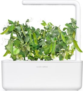 Click And Grow Click and Grow refill zielony groszek 3-pak 5