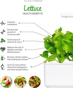 Click And Grow Refill sałata 3-pak 3