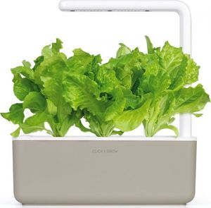 Click And Grow Refill sałata 3-pak 5