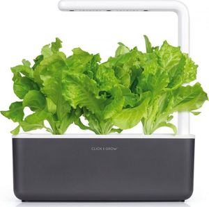 Click And Grow Refill sałata 3-pak 6