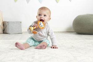 Tiny Love Smarts Grzechotka/gryzak Leonardo 5