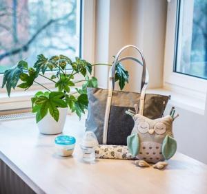 BabyOno 1510/01-TORBA DLA MAMY-TORBA DO WÓZKA BA SIC SO DYNAMIC! 13