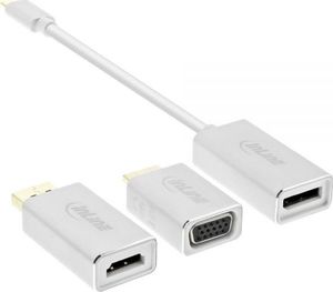 Adapter USB InLine USB-C - DisplayPort Biały  (64109S) 1