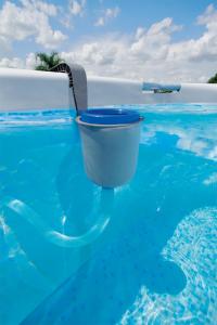 Bestway Powierzchniowy skimmer do basenu (58233) 3