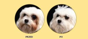 Nature’s Protection Superior Care White Dogs Adult Small - Karma dla psów białych małych ras  1,5 kg 4