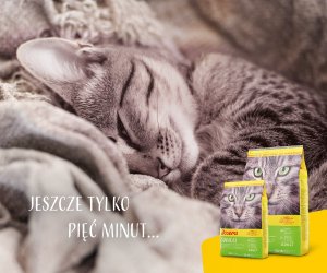 Josera Sensicat  2kg 7