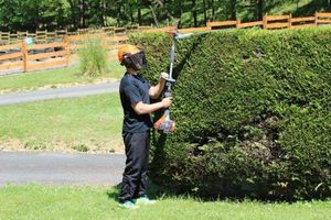 Oleo-Mac OLEO-MAC BC 240 HL SEKATOR NOŻYCE NA WYSIĘGNIKU DO ŻYWOPŁOTU KRZAKÓW KRZEWÓW SPALINOWE MOC 1.2KM KLASA PREMIUM 61379039E2 11