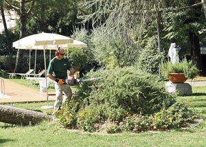 Oleo-Mac OLEO-MAC BC 240 HL SEKATOR NOŻYCE NA WYSIĘGNIKU DO ŻYWOPŁOTU KRZAKÓW KRZEWÓW SPALINOWE MOC 1.2KM KLASA PREMIUM 61379039E2 12