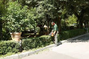 Oleo-Mac OLEO-MAC BC 240 HL SEKATOR NOŻYCE NA WYSIĘGNIKU DO ŻYWOPŁOTU KRZAKÓW KRZEWÓW SPALINOWE MOC 1.2KM KLASA PREMIUM 61379039E2 13