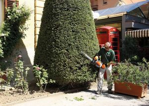 Oleo-Mac OLEO-MAC BC 240 HL SEKATOR NOŻYCE NA WYSIĘGNIKU DO ŻYWOPŁOTU KRZAKÓW KRZEWÓW SPALINOWE MOC 1.2KM KLASA PREMIUM 61379039E2 14