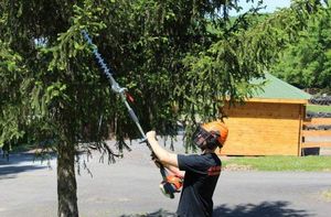 Oleo-Mac OLEO-MAC BC 240 HL SEKATOR NOŻYCE NA WYSIĘGNIKU DO ŻYWOPŁOTU KRZAKÓW KRZEWÓW SPALINOWE MOC 1.2KM KLASA PREMIUM 61379039E2 10